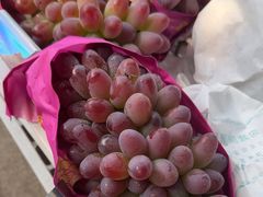 -马陆小张葡萄园农家乐