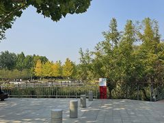 -大望京公园