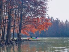 -上海海湾国家森林公园