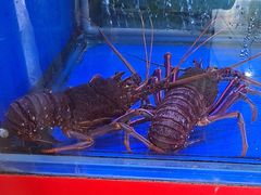 -大茄来海鲜餐厅(亚洲城分行)
