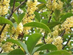 -韶山毛泽东同志故居