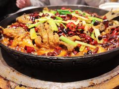 -老板恋上鱼(恒隆广场店)