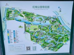 -红梅公园