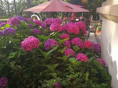 -庐山华微国际度假酒店-餐饮部