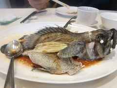 石锅古法蒸老虎斑-利苑酒家(华熙国际店)