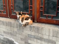 -陈记卤煮小肠