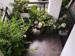 -边渡咖啡烘焙店(昙华林店)