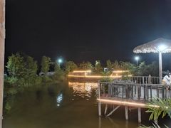 -一煲鸽