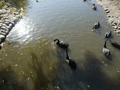 -长白岛森林公园