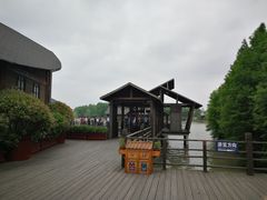 -溱湖国家湿地公园