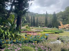 -深圳仙湖植物园