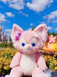 -Oasis Beauty水磨坊科技美肤中心