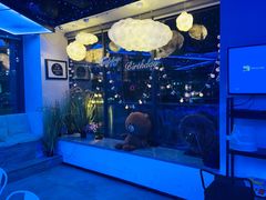 -CIAO·团建聚餐·生日派对轰趴馆(福田店)