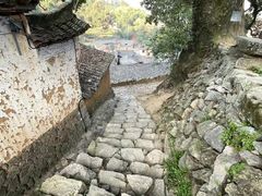 -杨家堂村
