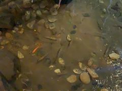 -邈墨茶馆(凤起路店)