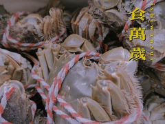-三林塘老街