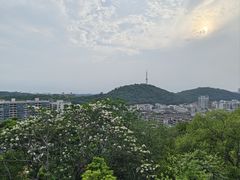 -佛山华盖山公园