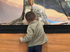 -陕西自然博物馆