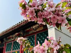 -海棠花溪(元大都城垣遗址公园)