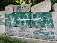 -鲁镇