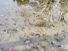 -成飞公园