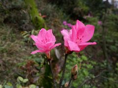 -梧桐山风景名胜区