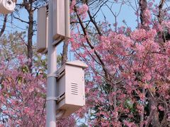 -狐尾山公园