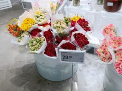 -盒马X会员店(王府井奥莱UP TOWN店)