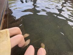 -望儿山温泉水乐园