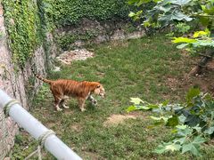 -西霞口神雕山野生动物世界