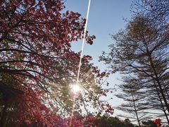 -森波拉火山温泉