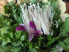 -束河人家(南锣鼓巷店)