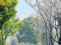 -苏宁钟山国际高尔夫酒店大堂酒廊