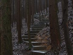 -山王坪喀斯特国家生态公园