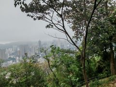 -仙岳公园