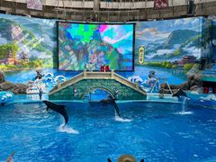 -海合安成都极地海洋公园