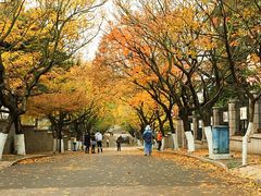 -八大关景区