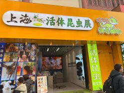 -神奇动物撸宠馆·羊驼·小浣熊·异宠(豫园店)