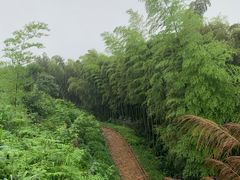 -山沟沟景区