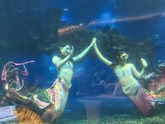 -涛·海底餐厅·美人鱼·自助餐·海底隧道(三亚海棠湾洲际度假酒店)