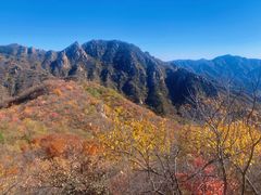 -大岭沟猕猴桃谷风景区
