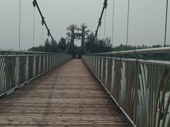 -西青郊野公园