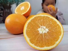 -三亚新鸿港水果一级批发市场