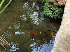 -南通洲际绿博园