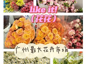 虽然春节已过，但还想把春天带回家，趁着花季美美的女神