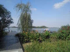 -蠡湖大桥公园