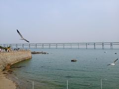 -黑石礁公园