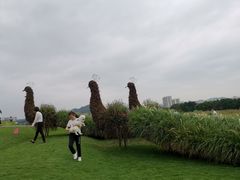 -光明小镇欢乐田园