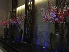 -三亚凤凰水城凯莱度假酒店