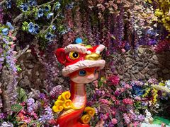 -正佳雨林生态植物园